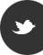 ES Rowing Services logo